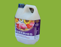 redeemveg.jpg